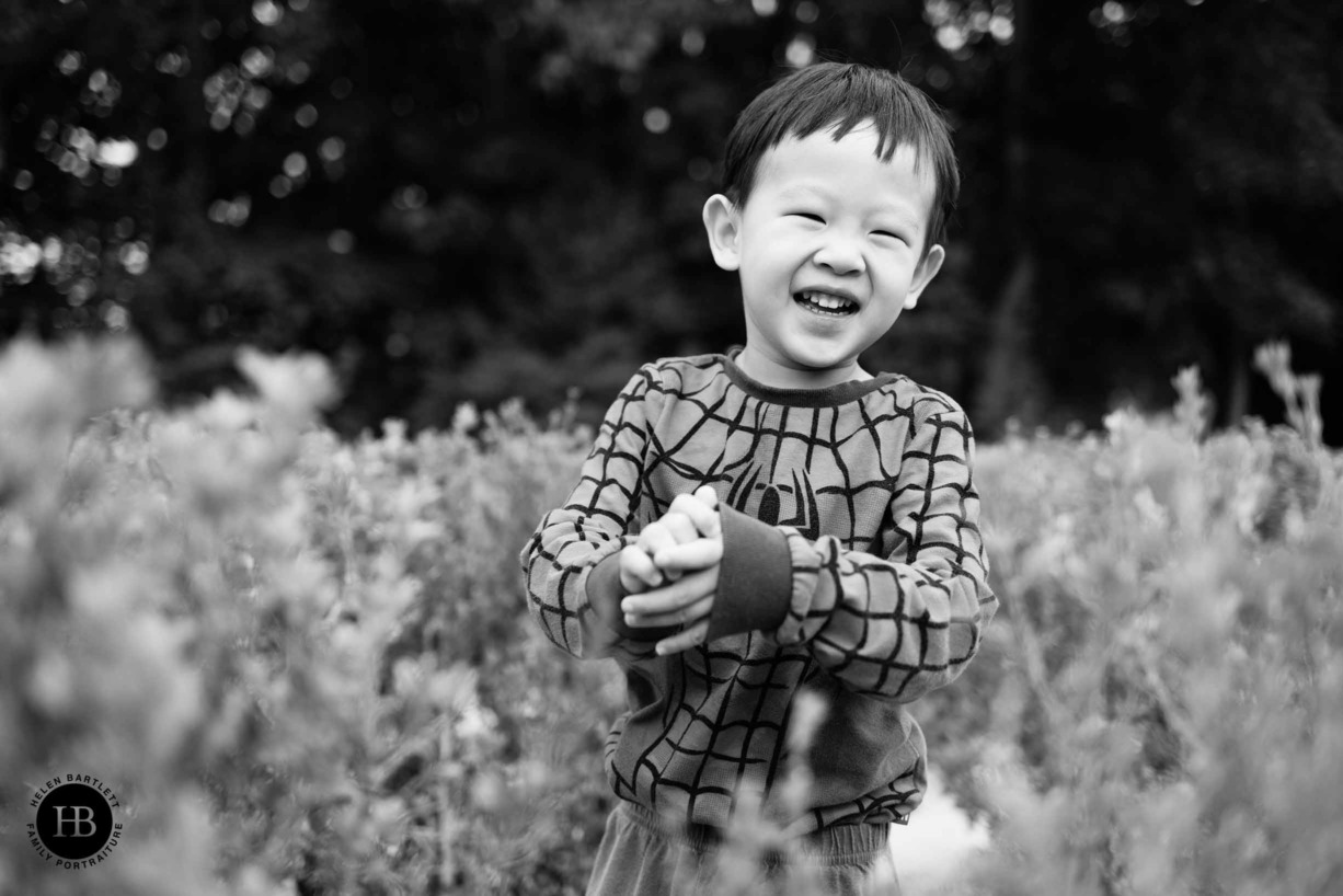 boy-dresssed-as-spiderman-plays-in-maze-cedars-park