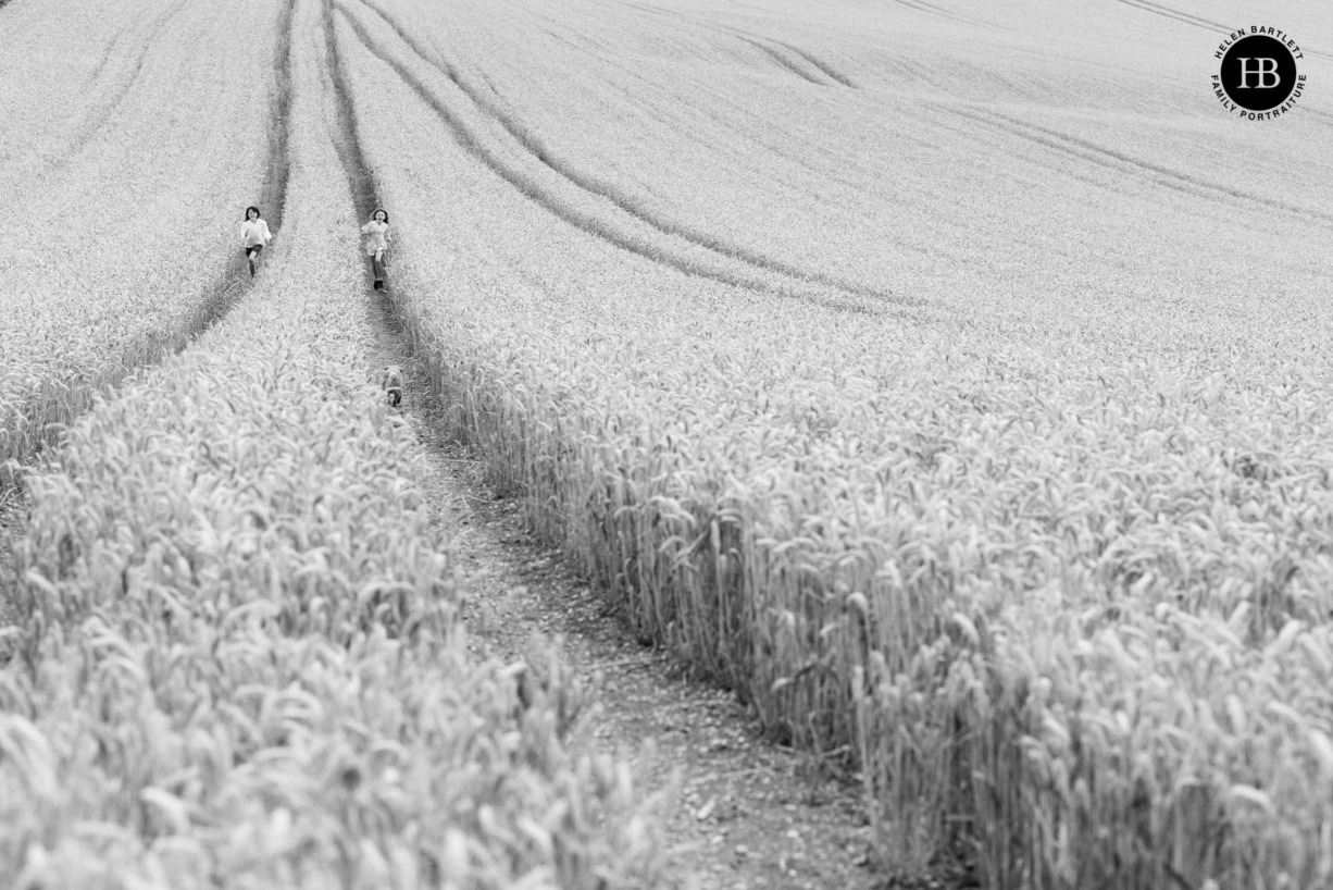 children-run-through-field-corn