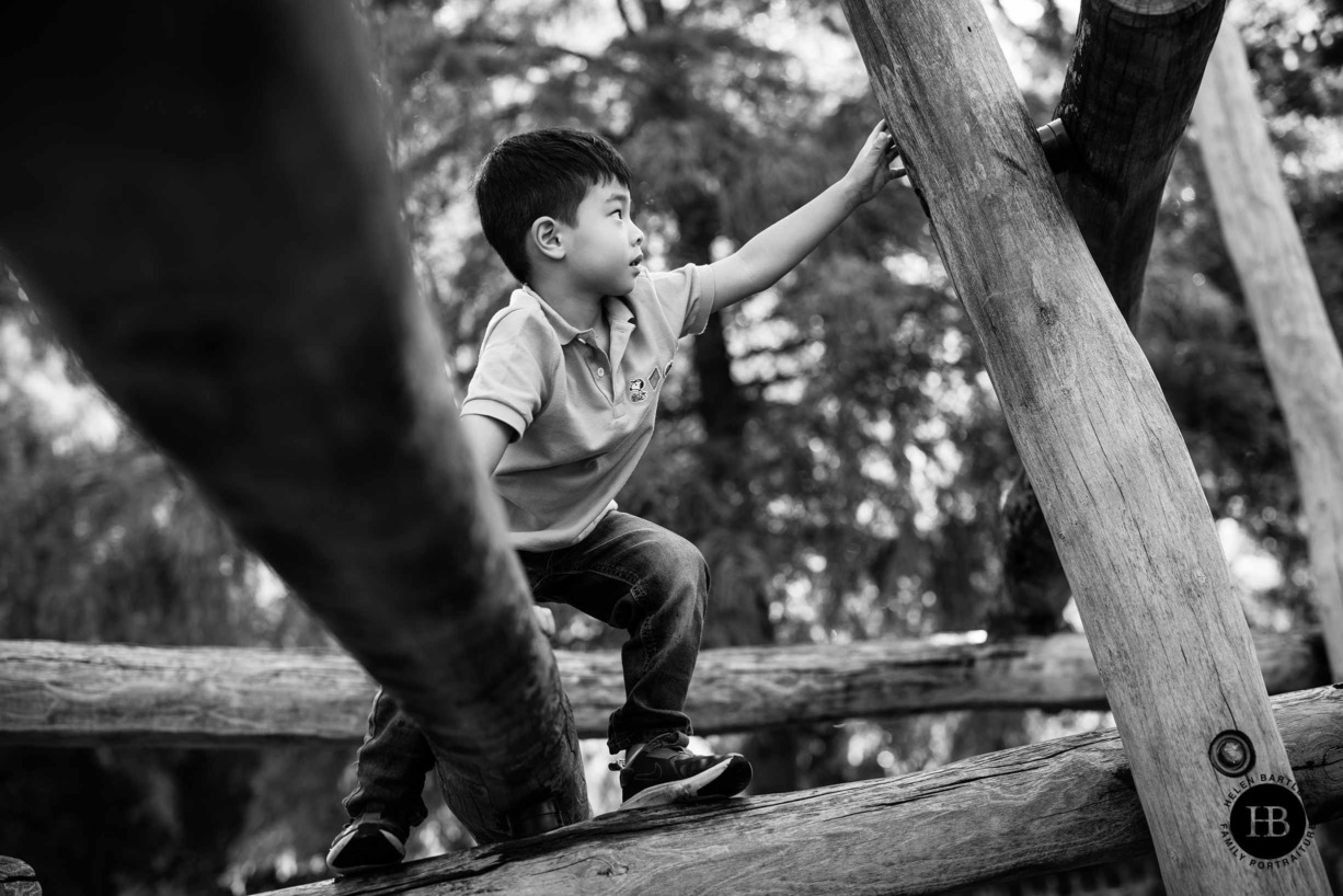 young-boy-on-climbing-frame