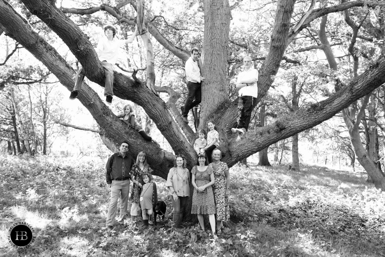 large-extended-family-photo-in-tree