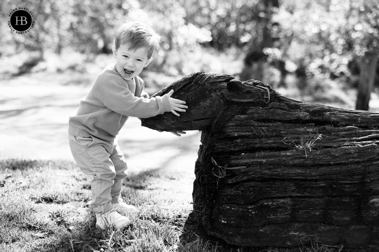 toddler-laughing-with-wooden-sheep-family-photography-tooting