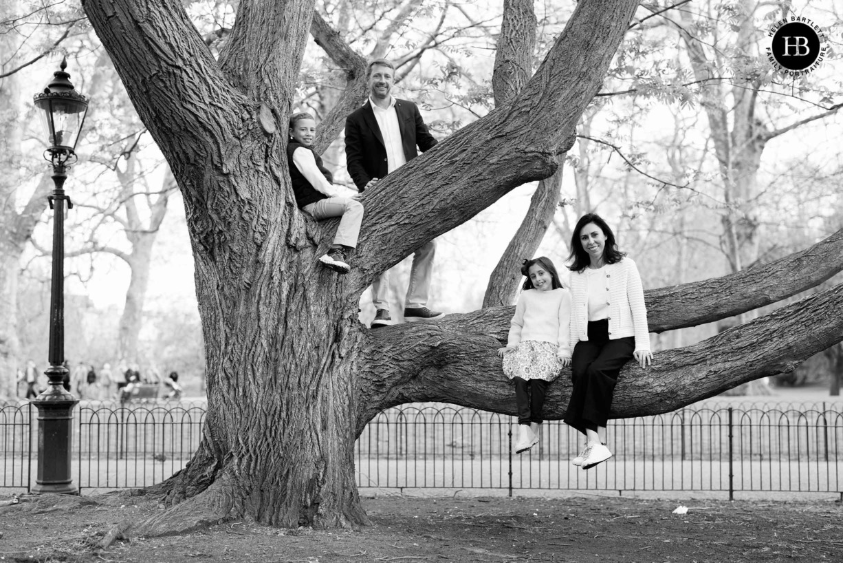 family-portrait-in-tree-st-james-park-vacation