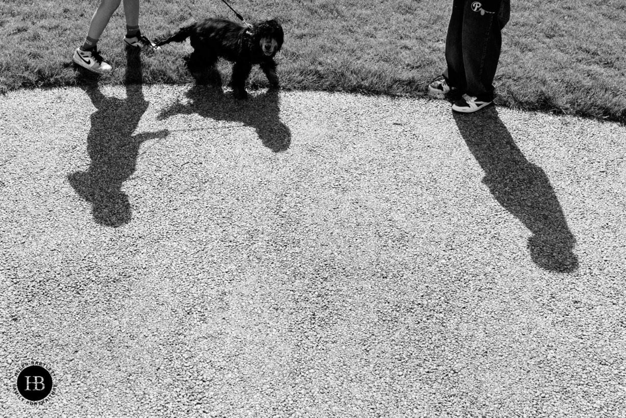 shadows-teenagers-dogshadows-teenagers-dog